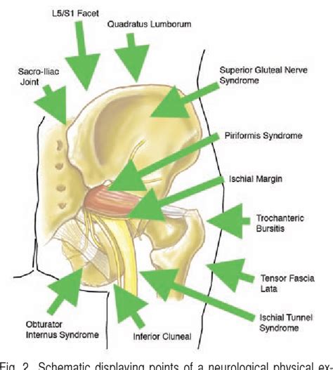 feet and anus|Pudendal Nerve Entrapment: Symptoms, Treatment, and More.